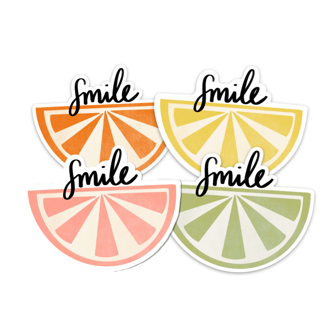 Fruit Sticker Pack, 3x3in. Vinyl Stickers for your Laptop, Hydroflask, Planner or Bullet Journal