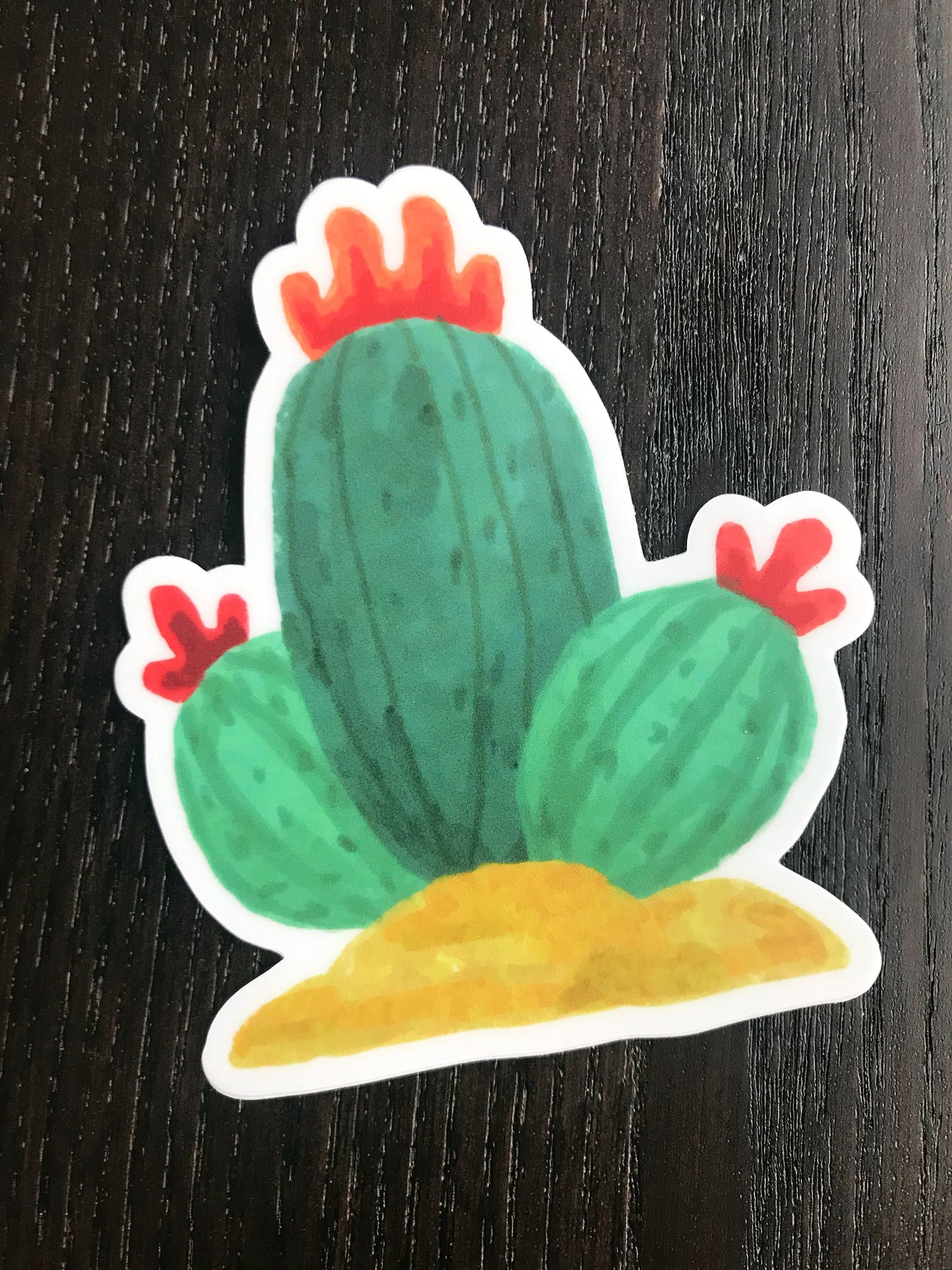 3x3in. Green and Red Watercolor Cactus Sticker, Cactus Flower, Floral Designs