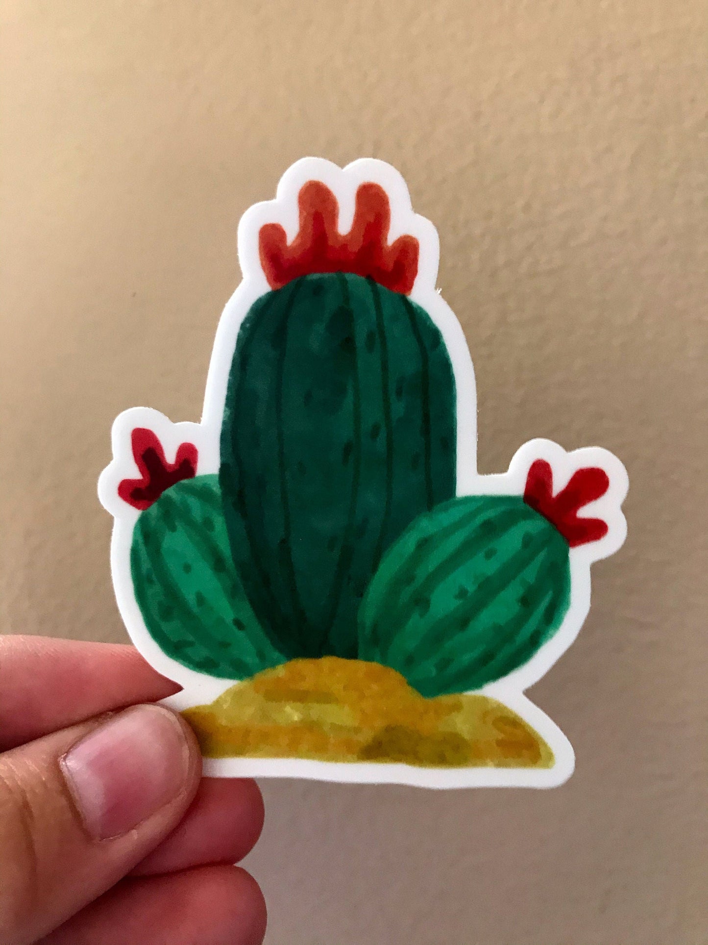 3x3in. Green and Red Watercolor Cactus Sticker, Cactus Flower, Floral Designs