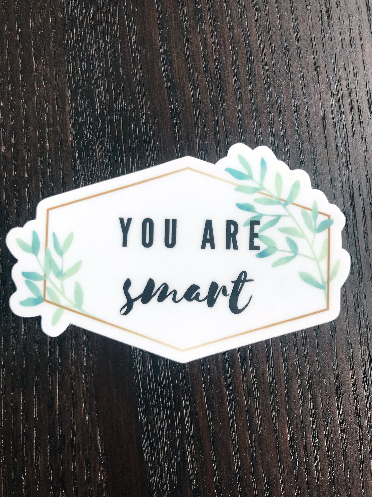 You are smart positive stickers, stocking stuffers for teenage girls, Christmas gifts for tweens, secret Santa gifts at work, mantra sticker