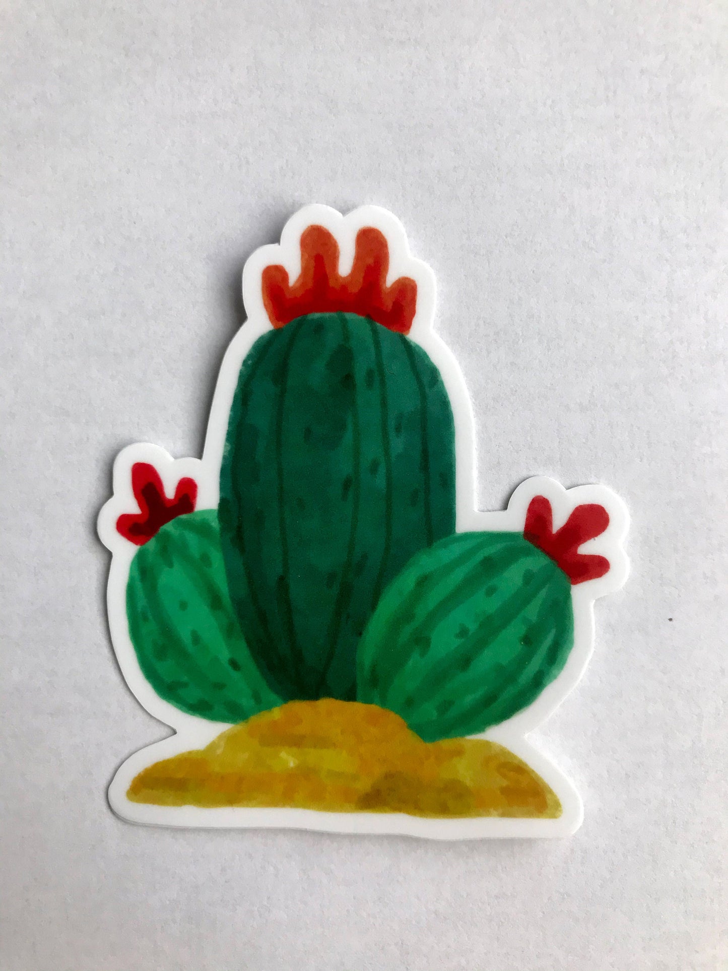 3x3in. Green and Red Watercolor Cactus Sticker, Cactus Flower, Floral Designs