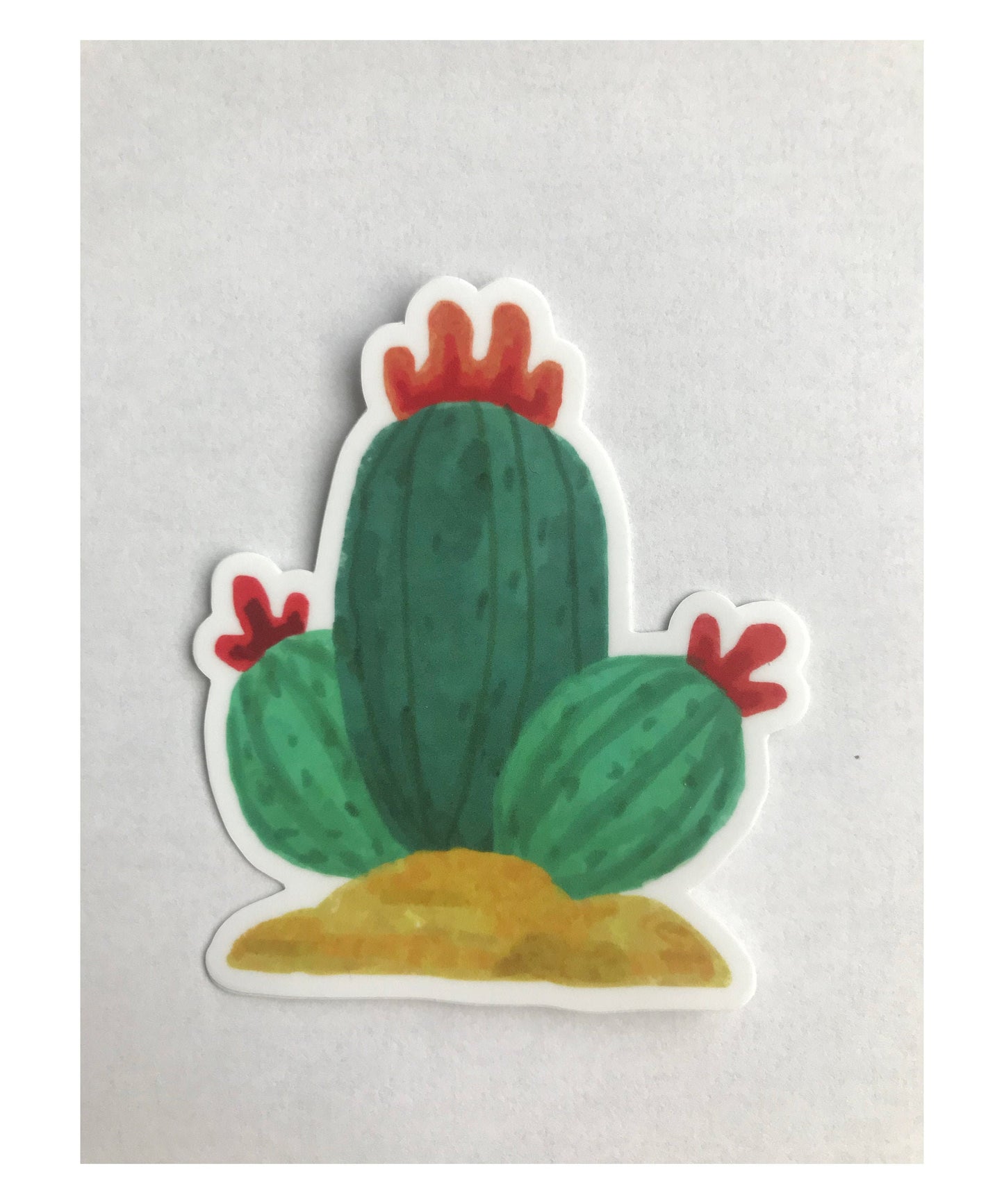 3x3in. Green and Red Watercolor Cactus Sticker, Cactus Flower, Floral Designs