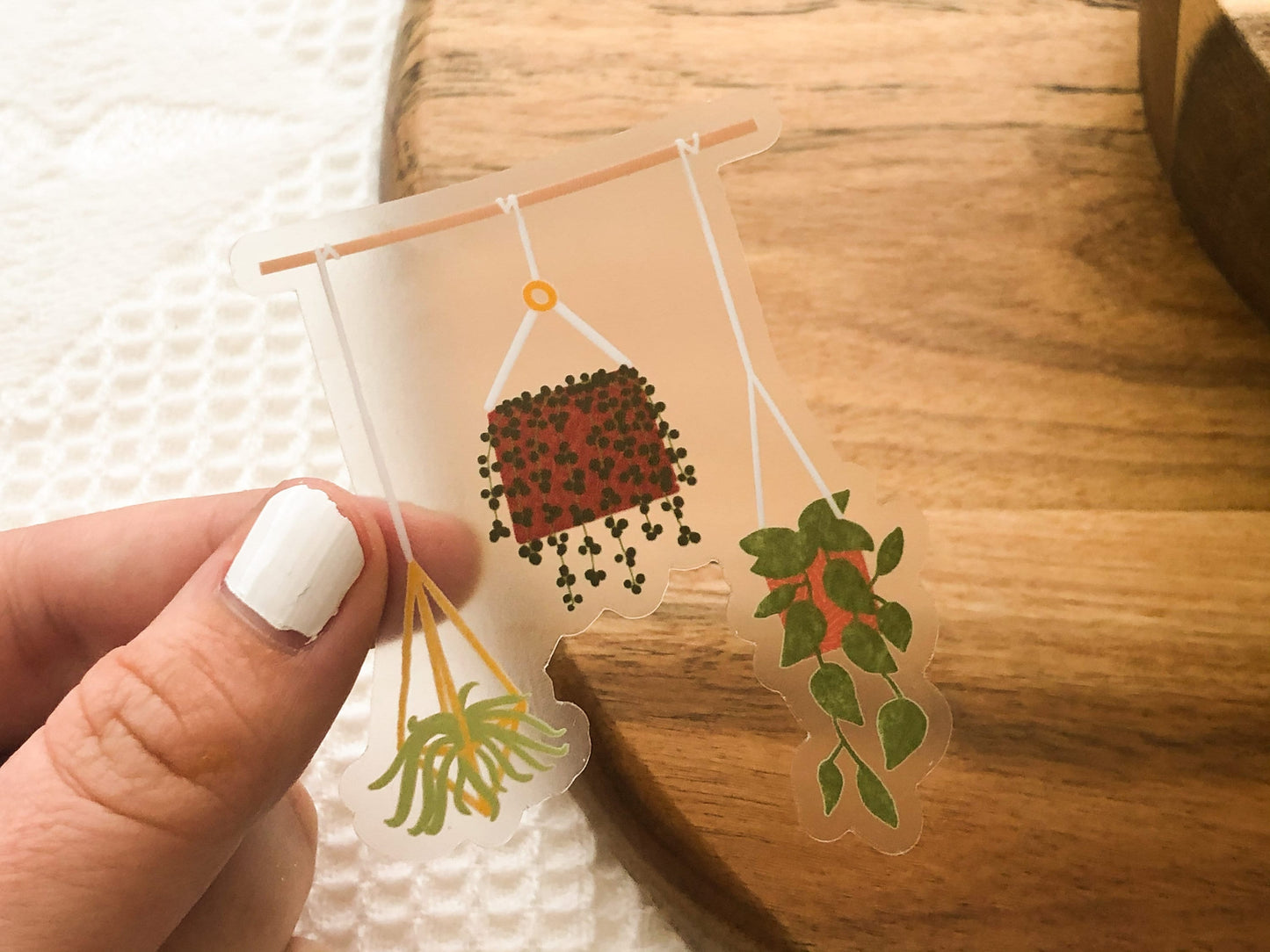 hanging plant sticker for water bottle, bathroom mirror stickers, clear stickers for laptop, dorm window decals, plant mom gift, plant gifts