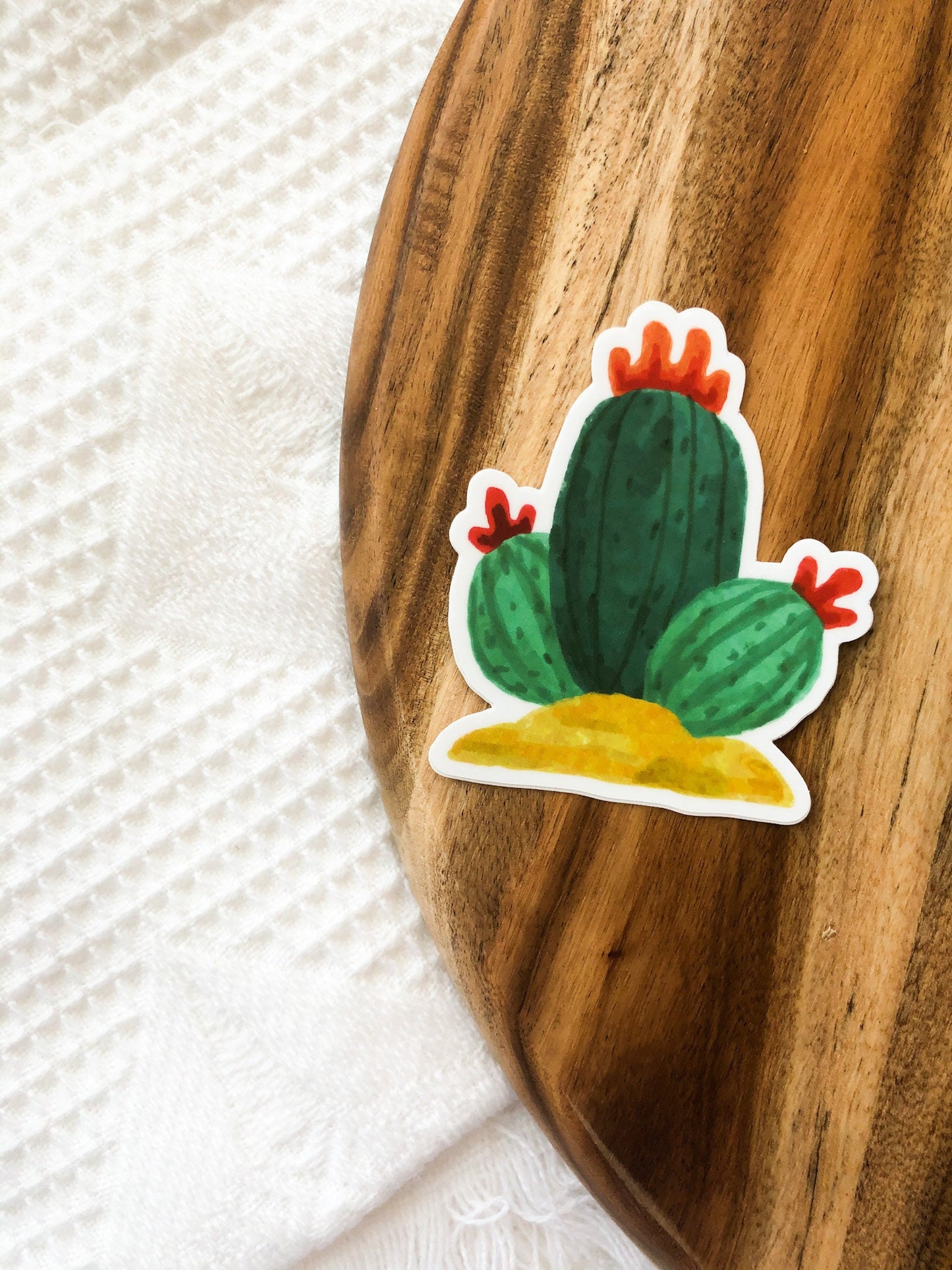 3x3in. Green and Red Watercolor Cactus Sticker, Cactus Flower, Floral Designs